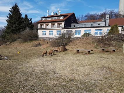 Berggasthof Zum Steira 肖顿 外观 照片
